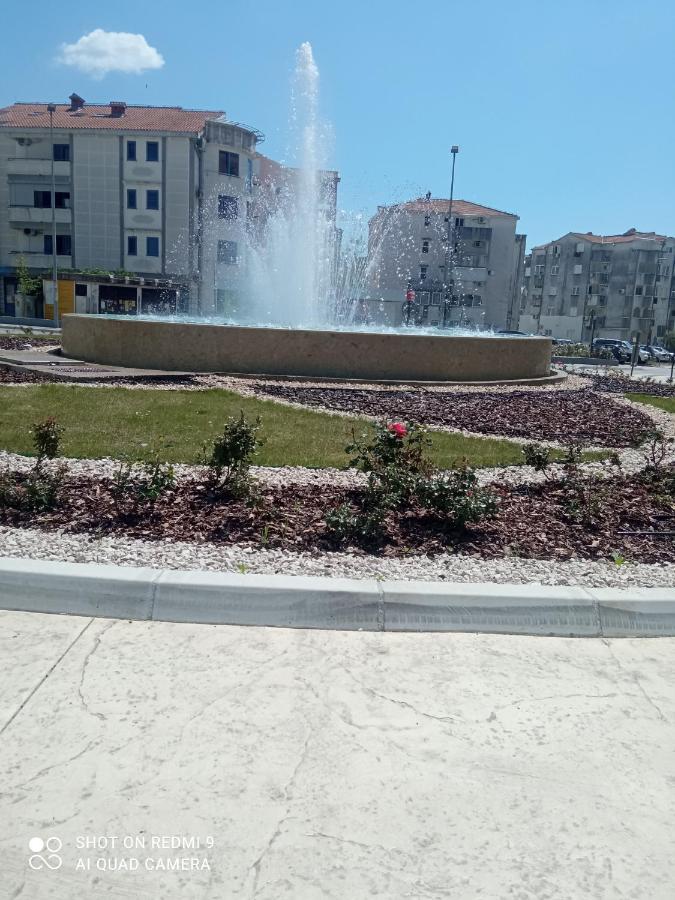 Dragic Budva